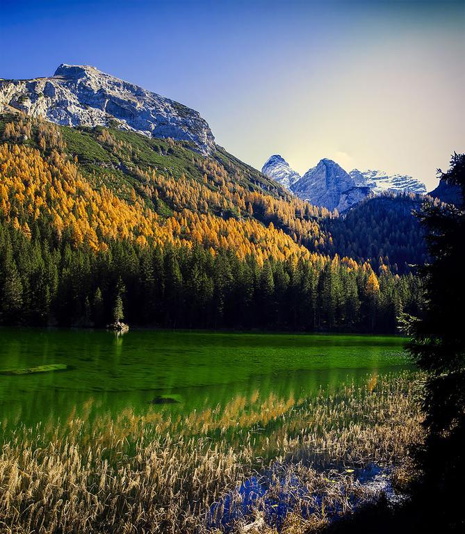 Dolomiti Di Brenta House 2 Madonna