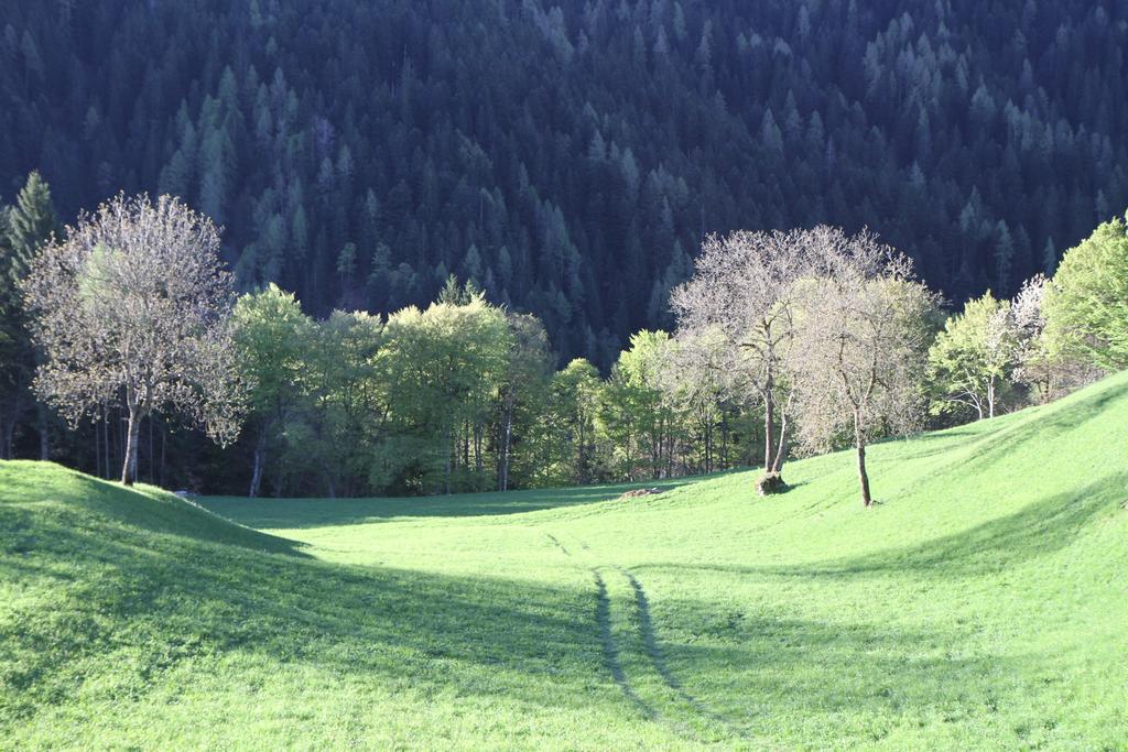 Holiday home Dolomiti Di Brenta House 2 Madonna di Campiglio